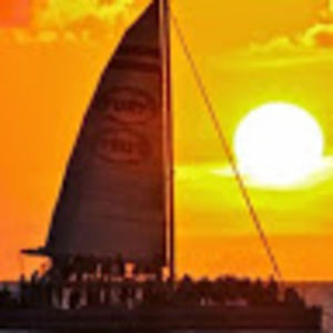 Meet your Posher, Irene